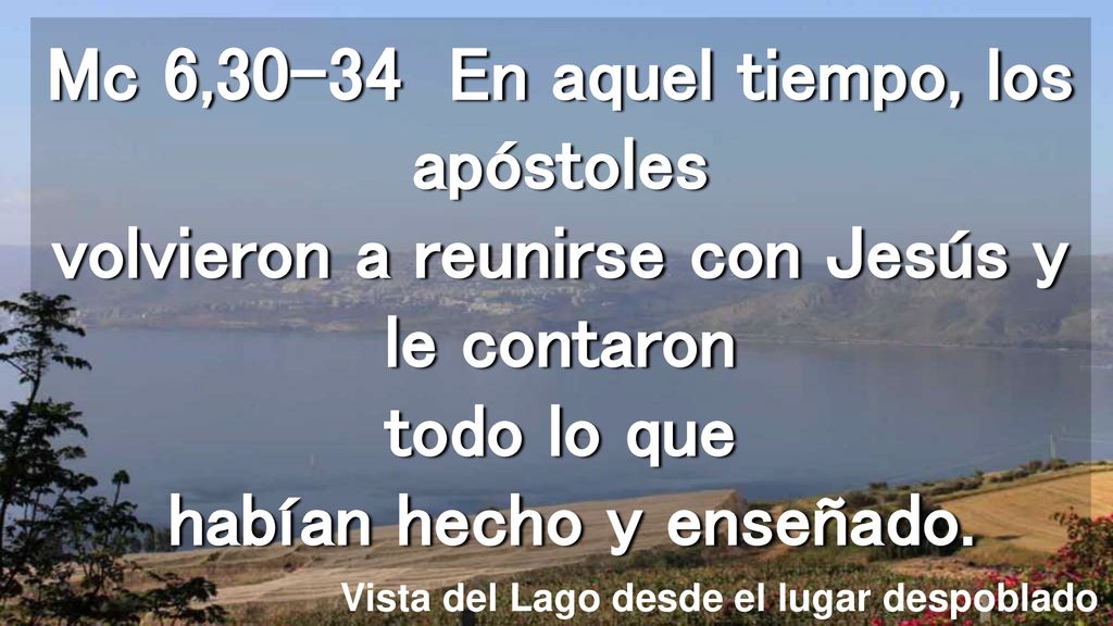 Mc 6,30-34 En aquel tiempo, los apóstoles volvieron a reunirse con Jesús y le contaron todo lo que habían hecho y enseñado.