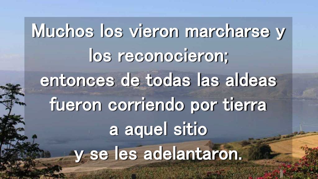 Muchos los vieron marcharse y los reconocieron; entonces de todas las aldeas fueron corriendo por tierra a aquel sitio y se les adelantaron.