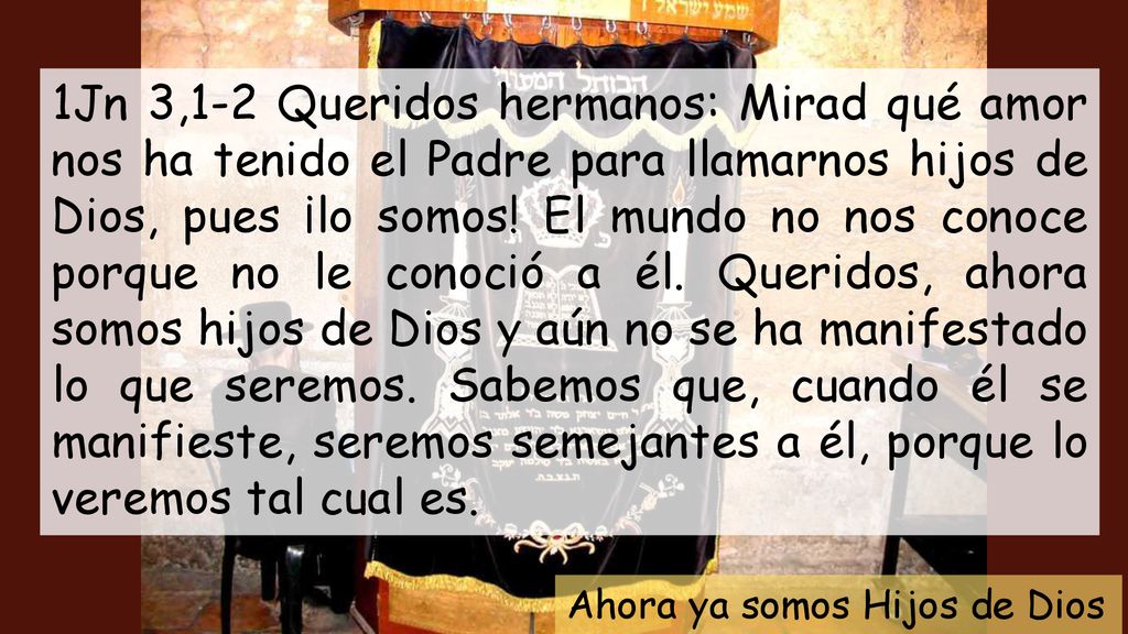 1Jn 3,1-2 Queridos hermanos: Mirad qué amor nos ha tenido el Padre para llamarnos hijos de Dios, pues ¡lo somos! El mundo no nos conoce porque no le conoció a él. Queridos, ahora somos hijos de Dios y aún no se ha manifestado lo que seremos. Sabemos que, cuando él se manifieste, seremos semejantes a él, porque lo veremos tal cual es.