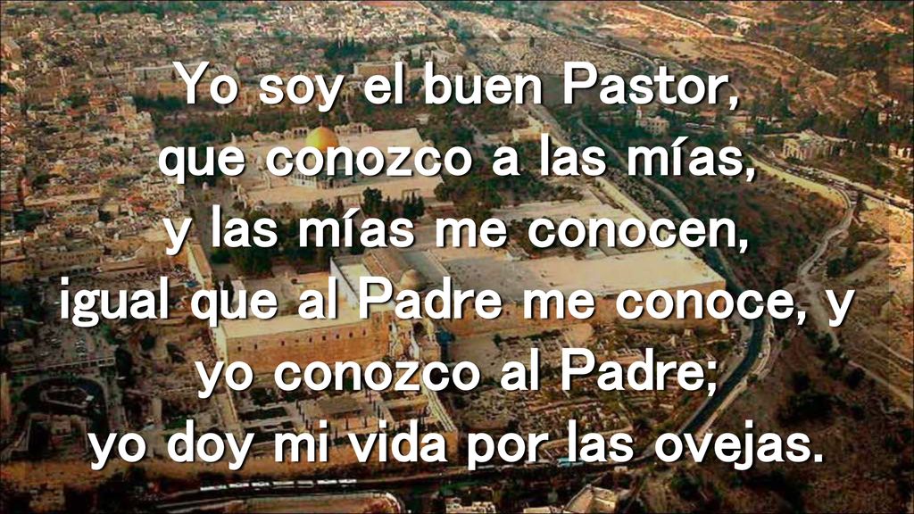 Yo soy el buen Pastor, que conozco a las mías, y las mías me conocen, igual que al Padre me conoce, y yo conozco al Padre; yo doy mi vida por las ovejas.
