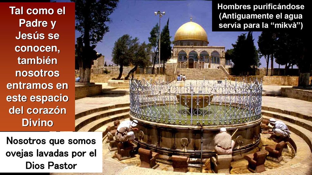 Nosotros que somos ovejas lavadas por el Dios Pastor