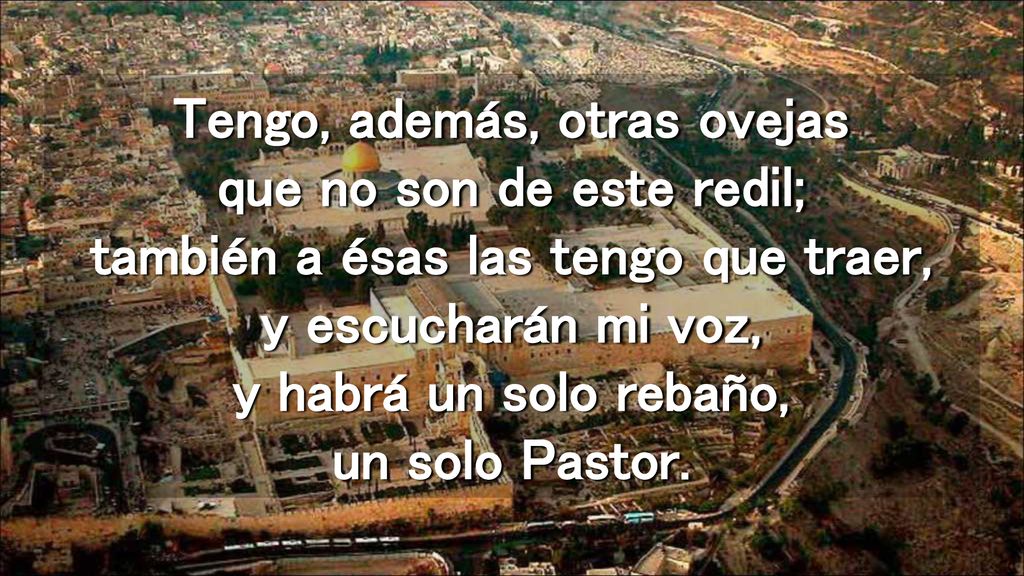 Tengo, además, otras ovejas que no son de este redil; también a ésas las tengo que traer, y escucharán mi voz, y habrá un solo rebaño, un solo Pastor.