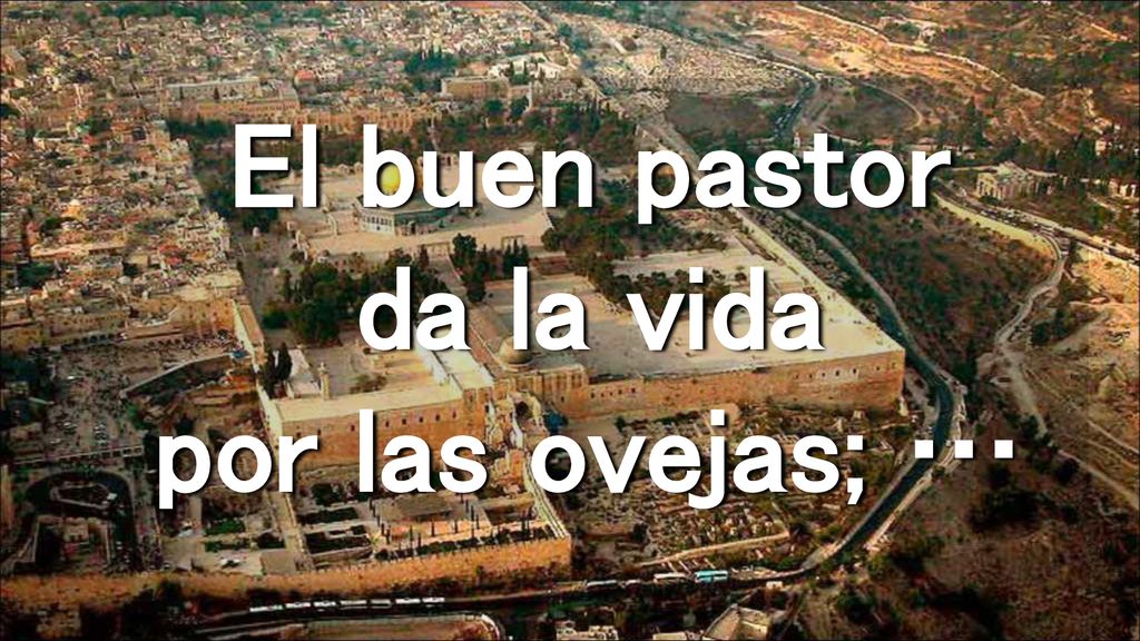 El buen pastor da la vida por las ovejas; …