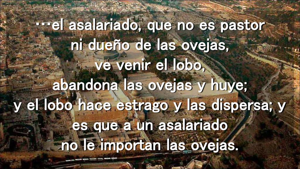 …el asalariado, que no es pastor ni dueño de las ovejas, ve venir el lobo, abandona las ovejas y huye; y el lobo hace estrago y las dispersa; y es que a un asalariado no le importan las ovejas.