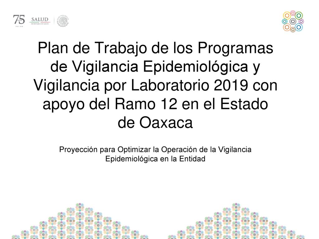 Plan de Trabajo de los Programas de Vigilancia Epidemiológica y Vigilancia por Laboratorio 2019 con apoyo del Ramo 12 en el Estado de Oaxaca