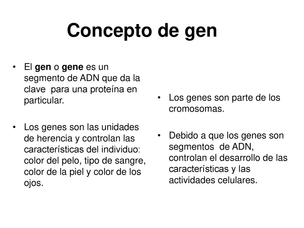 Concepto de gen El gen o gene es un segmento de ADN que da la clave para una proteína en particular.