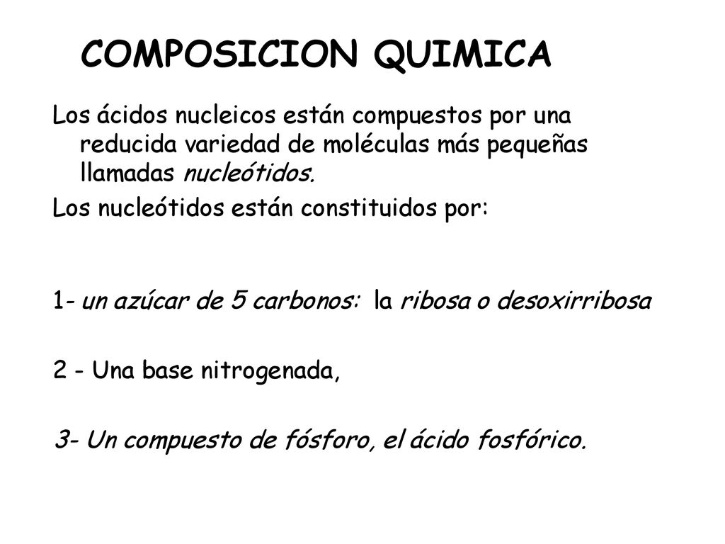COMPOSICION QUIMICA Los ácidos nucleicos están compuestos por una reducida variedad de moléculas más pequeñas llamadas nucleótidos.