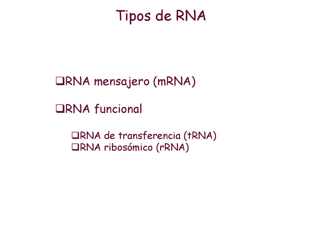 Tipos de RNA RNA mensajero (mRNA) RNA funcional