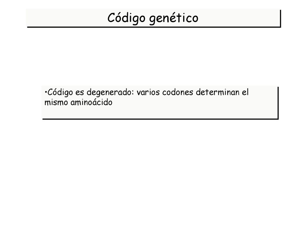 Código genético Código es degenerado: varios codones determinan el mismo aminoácido