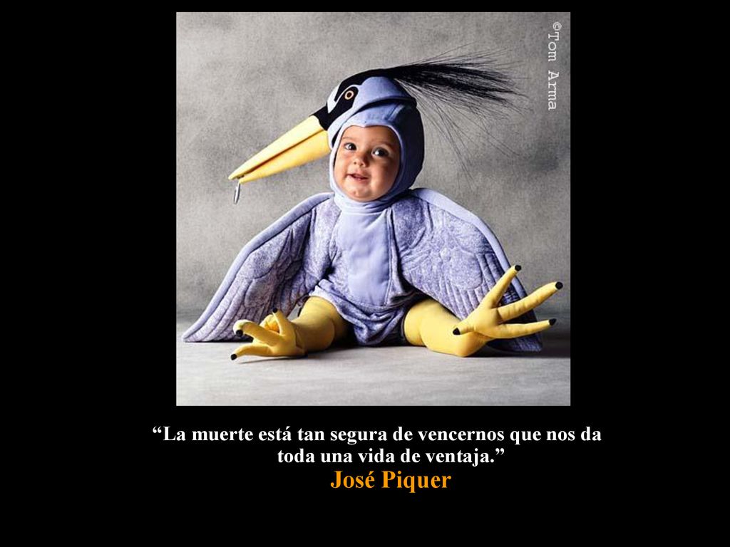 La muerte está tan segura de vencernos que nos da toda una vida de ventaja. José Piquer