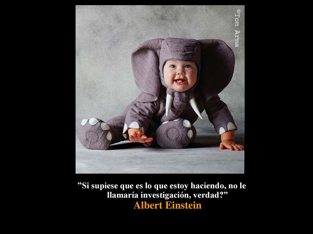 Si supiese que es lo que estoy haciendo, no le llamaría investigación, verdad Albert Einstein