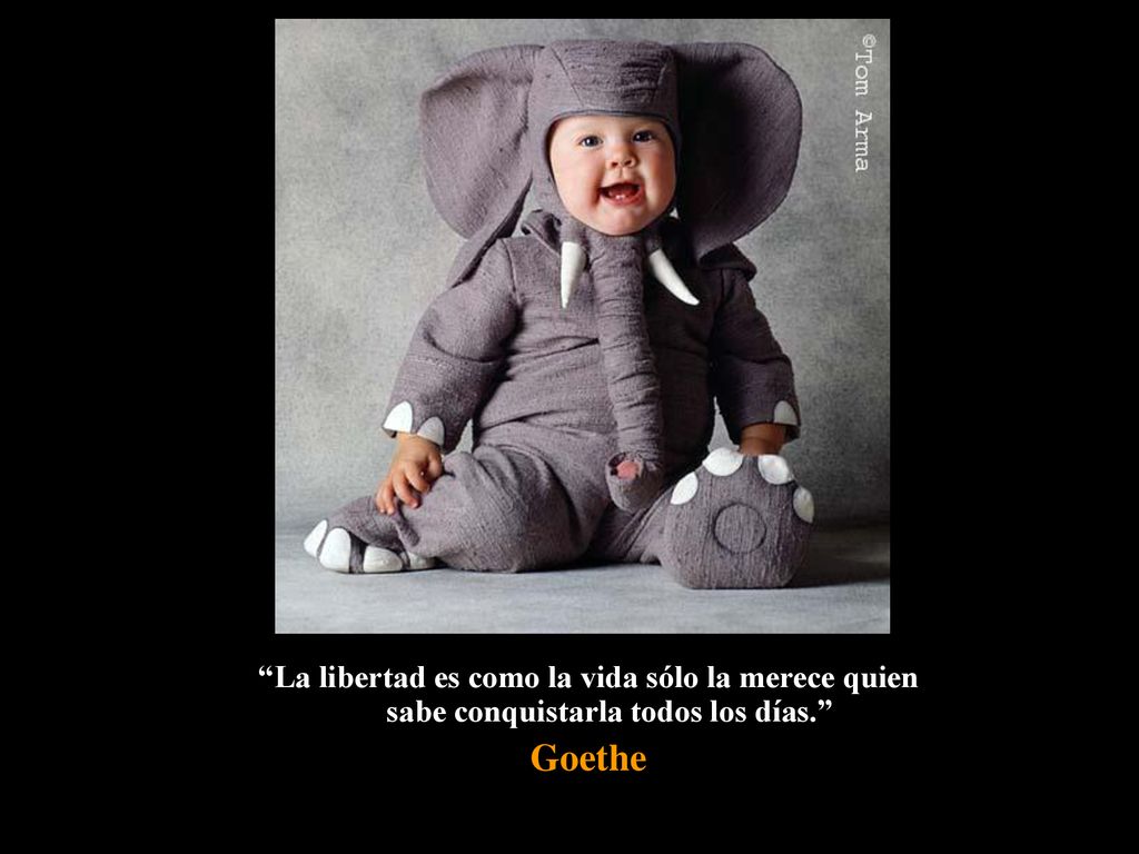 La libertad es como la vida sólo la merece quien sabe conquistarla todos los días.