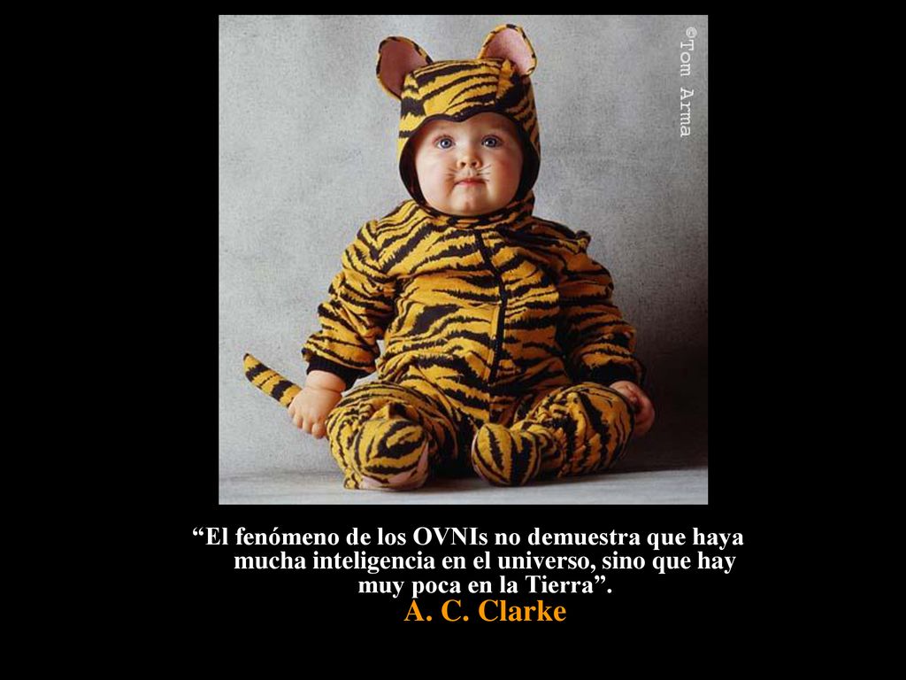 El fenómeno de los OVNIs no demuestra que haya mucha inteligencia en el universo, sino que hay muy poca en la Tierra .