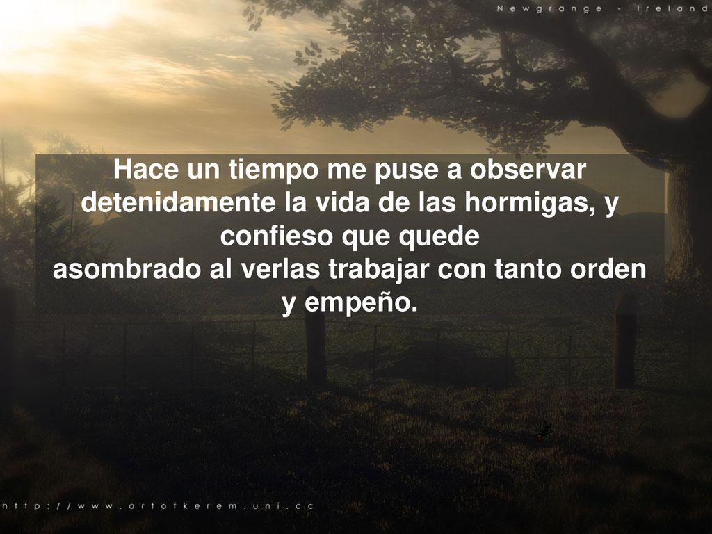 Hace un tiempo me puse a observar detenidamente la vida de las hormigas, y confieso que quede asombrado al verlas trabajar con tanto orden y empeño.