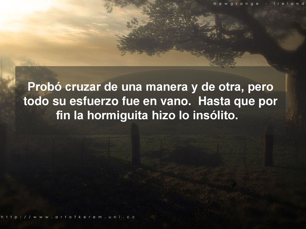 Probó cruzar de una manera y de otra, pero todo su esfuerzo fue en vano. Hasta que por fin la hormiguita hizo lo insólito.