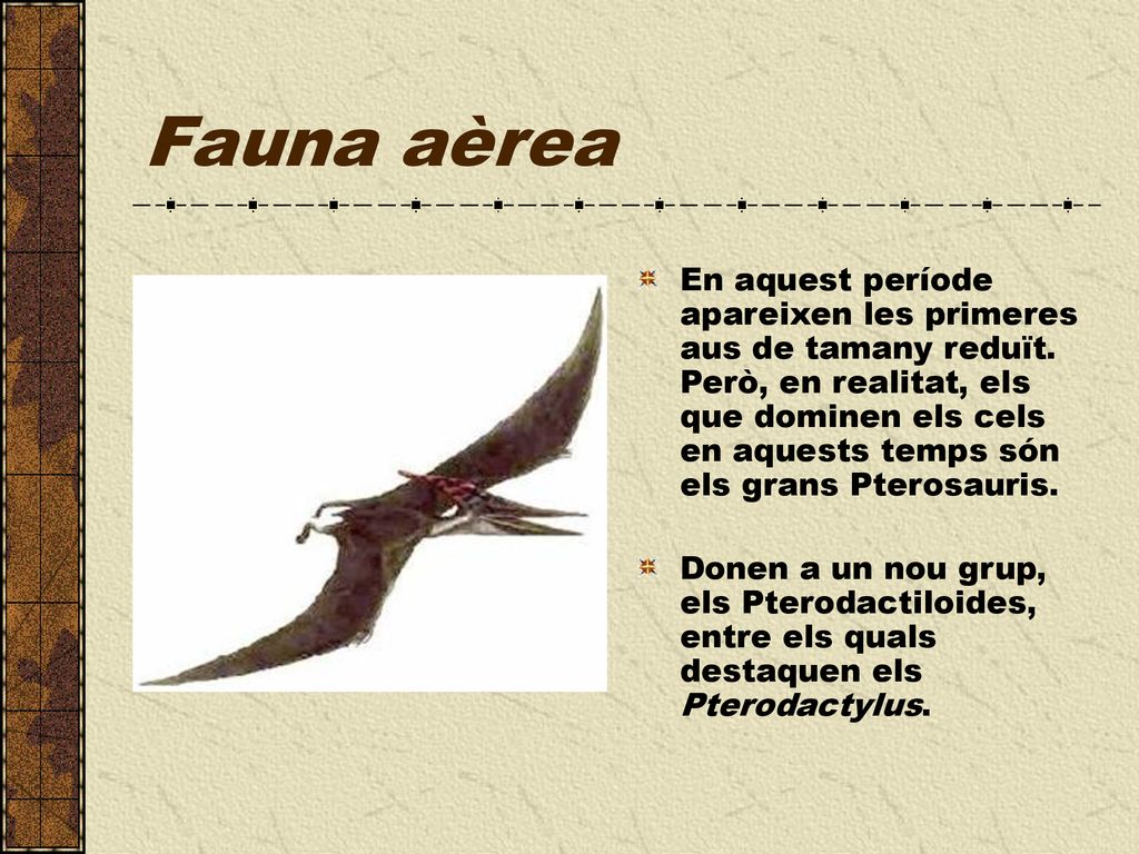 En aquest període apareixen les primeres aus de tamany reduït