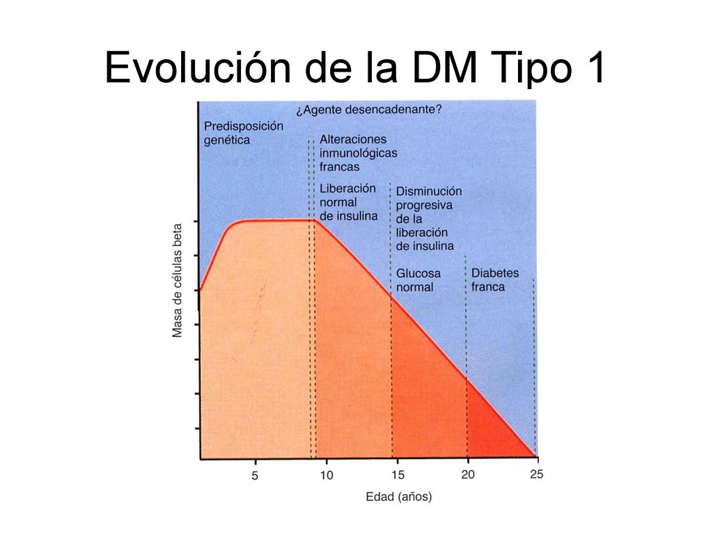 Evolución de la DM Tipo 1