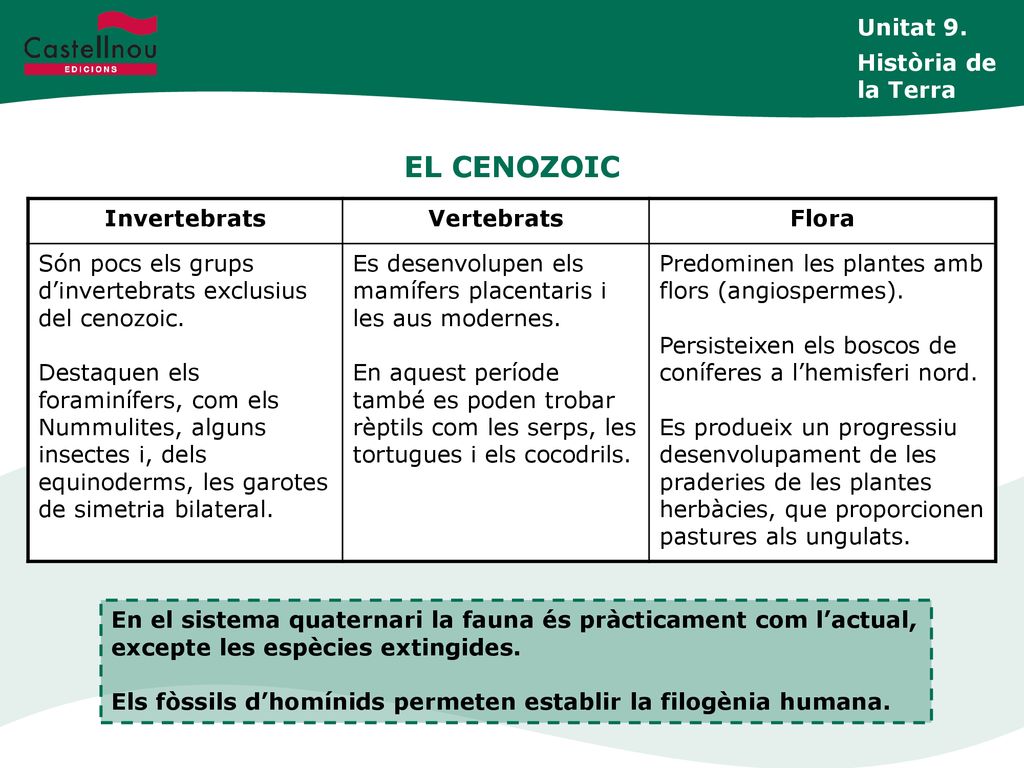 EL CENOZOIC Unitat 9. Història de la Terra Invertebrats Vertebrats