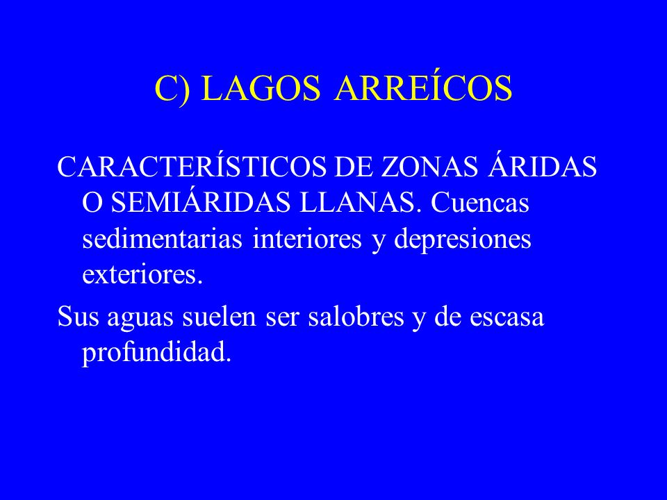 C) LAGOS ARREÍCOS CARACTERÍSTICOS DE ZONAS ÁRIDAS O SEMIÁRIDAS LLANAS. Cuencas sedimentarias interiores y depresiones exteriores.