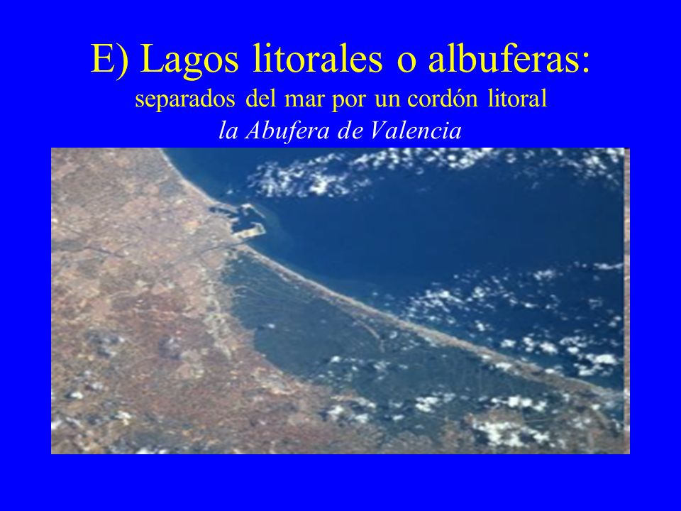 E) Lagos litorales o albuferas: separados del mar por un cordón litoral la Abufera de Valencia