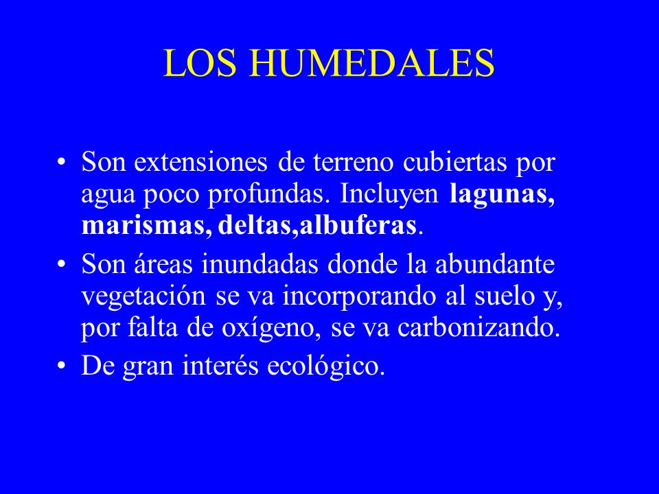 LOS HUMEDALES Son extensiones de terreno cubiertas por agua poco profundas. Incluyen lagunas, marismas, deltas,albuferas.