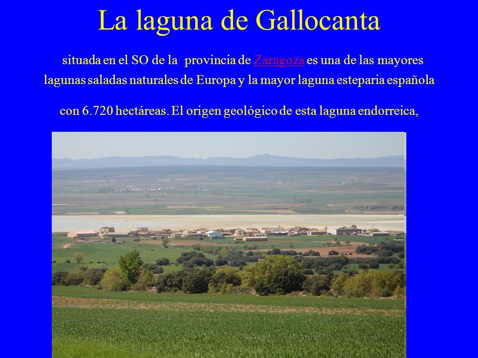 La laguna de Gallocanta situada en el SO de la provincia de Zaragoza es una de las mayores lagunas saladas naturales de Europa y la mayor laguna esteparia española con hectáreas.