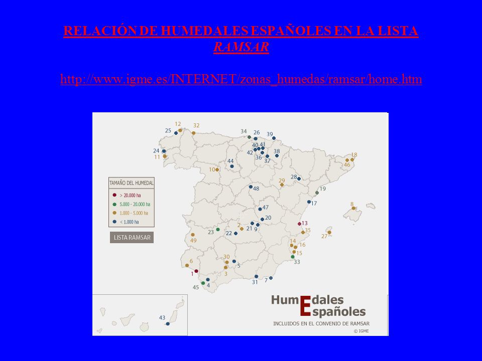 RELACIÓN DE HUMEDALES ESPAÑOLES EN LA LISTA RAMSAR   igme
