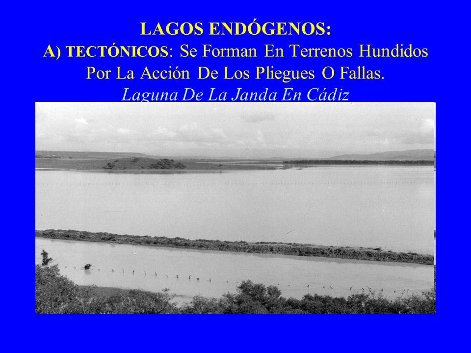 LAGOS ENDÓGENOS: A) TECTÓNICOS: Se Forman En Terrenos Hundidos Por La Acción De Los Pliegues O Fallas.