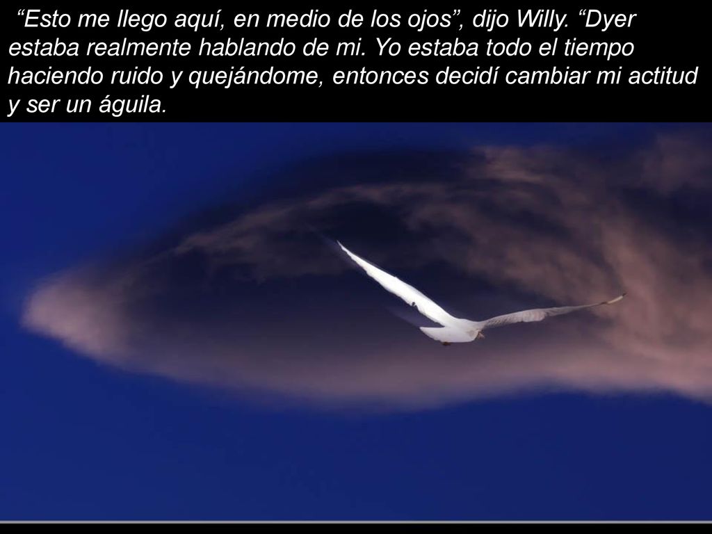 Esto me llego aquí, en medio de los ojos , dijo Willy