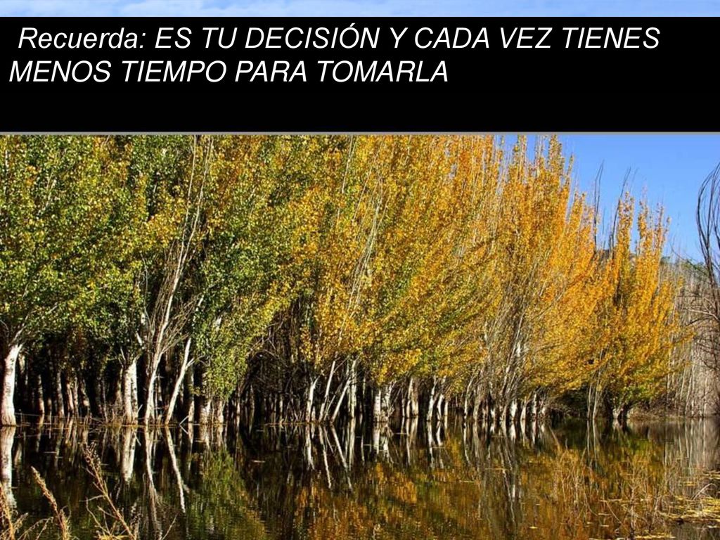 Recuerda: ES TU DECISIÓN Y CADA VEZ TIENES MENOS TIEMPO PARA TOMARLA
