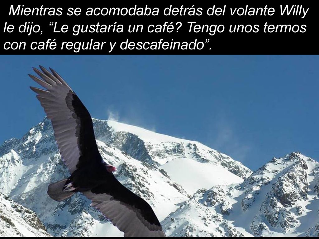 Mientras se acomodaba detrás del volante Willy le dijo, Le gustaría un café.