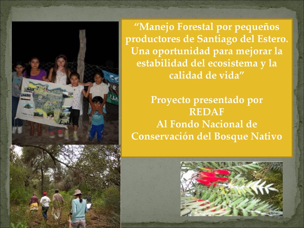 Manejo Forestal por pequeños productores de Santiago del Estero.