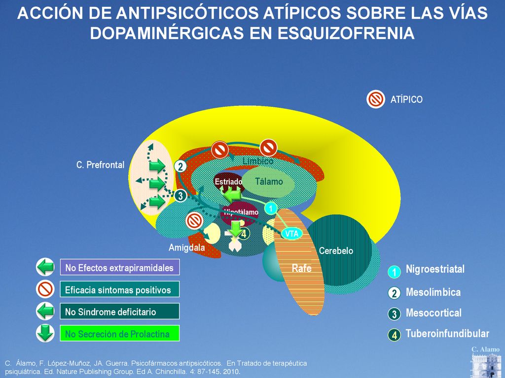 ACCIÓN DE ANTIPSICÓTICOS ATÍPICOS SOBRE LAS VÍAS DOPAMINÉRGICAS EN ESQUIZOFRENIA