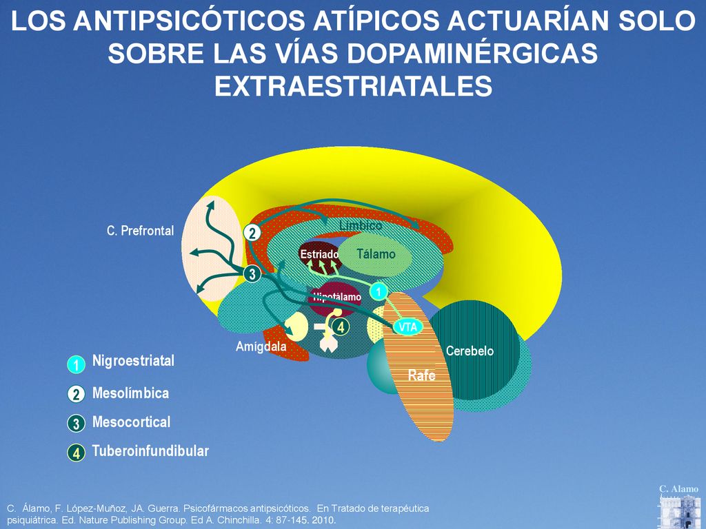 LOS ANTIPSICÓTICOS ATÍPICOS ACTUARÍAN SOLO SOBRE LAS VÍAS DOPAMINÉRGICAS EXTRAESTRIATALES