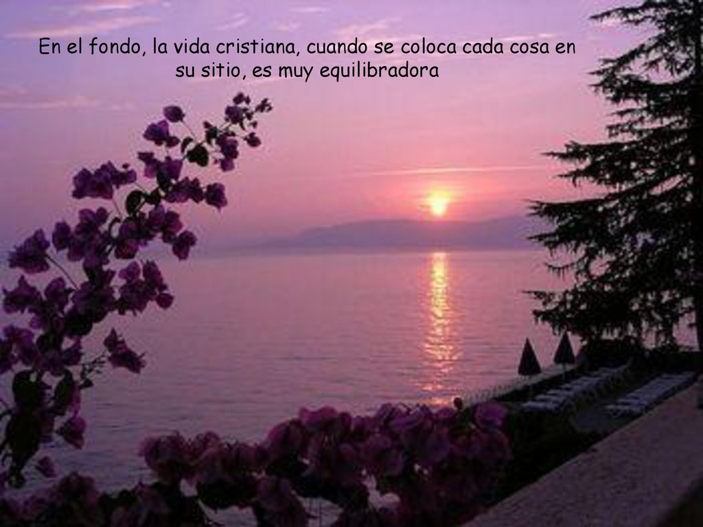 En el fondo, la vida cristiana, cuando se coloca cada cosa en su sitio, es muy equilibradora