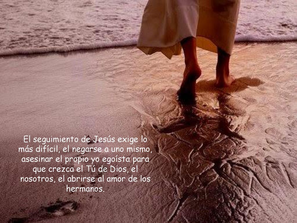 El seguimiento de Jesús exige lo más difícil, el negarse a uno mismo, asesinar el propio yo egoísta para que crezca el Tú de Dios, el nosotros, el abrirse al amor de los hermanos.