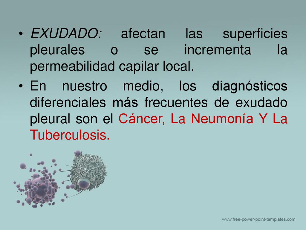 EXUDADO: afectan las superficies pleurales o se incrementa la permeabilidad capilar local.