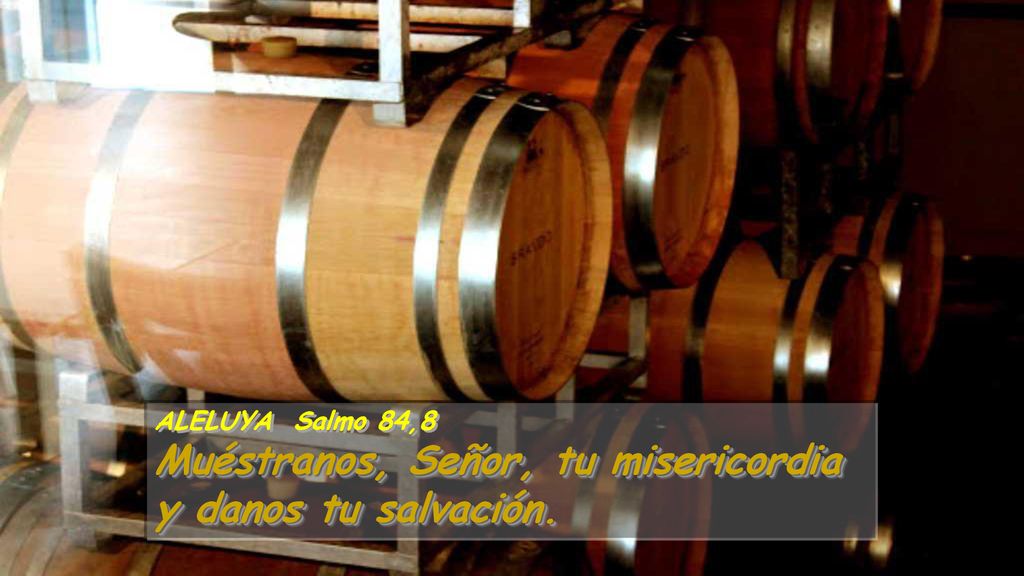 Muéstranos, Señor, tu misericordia y danos tu salvación.