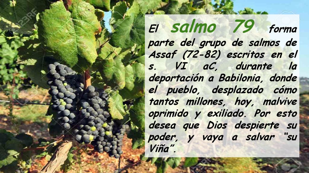 El salmo 79 forma parte del grupo de salmos de Assaf (72-82) escritos en el s.