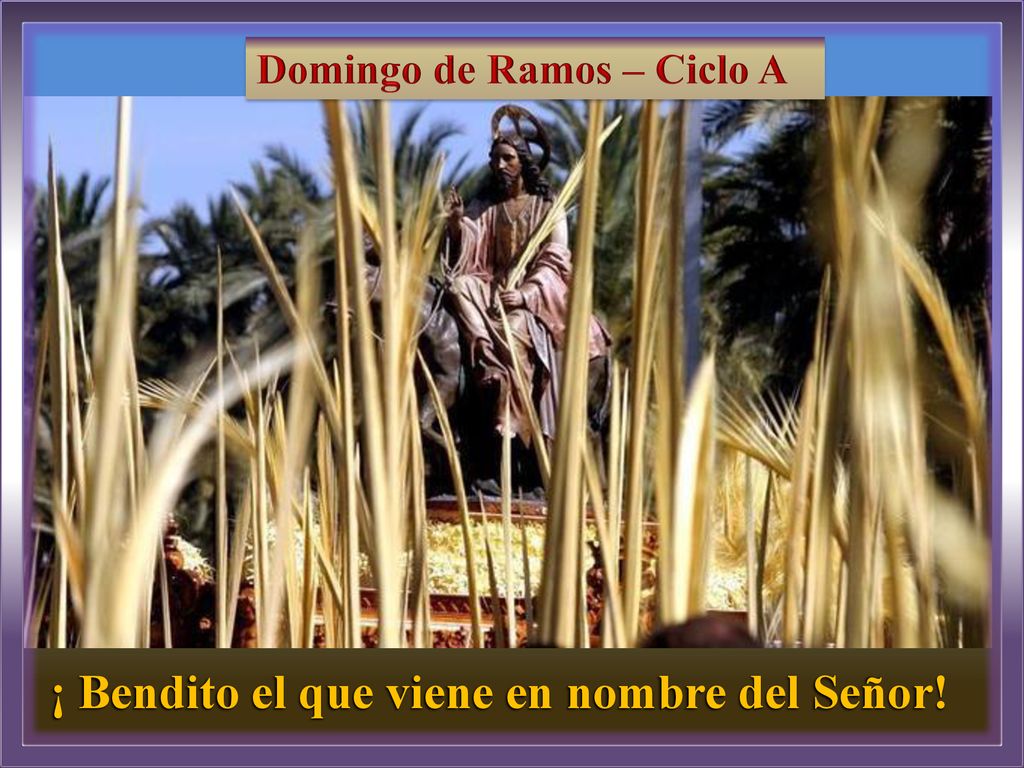 ¡ Bendito el que viene en nombre del Señor!