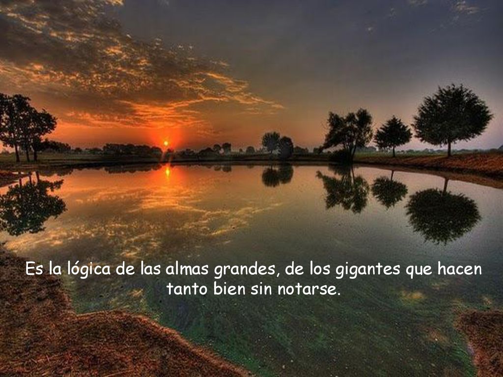 Es la lógica de las almas grandes, de los gigantes que hacen tanto bien sin notarse.