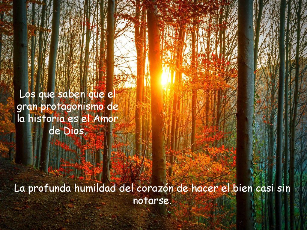 La profunda humildad del corazón de hacer el bien casi sin notarse.