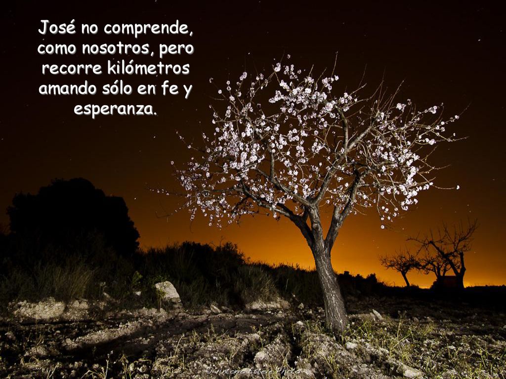 José no comprende, como nosotros, pero recorre kilómetros amando sólo en fe y esperanza.