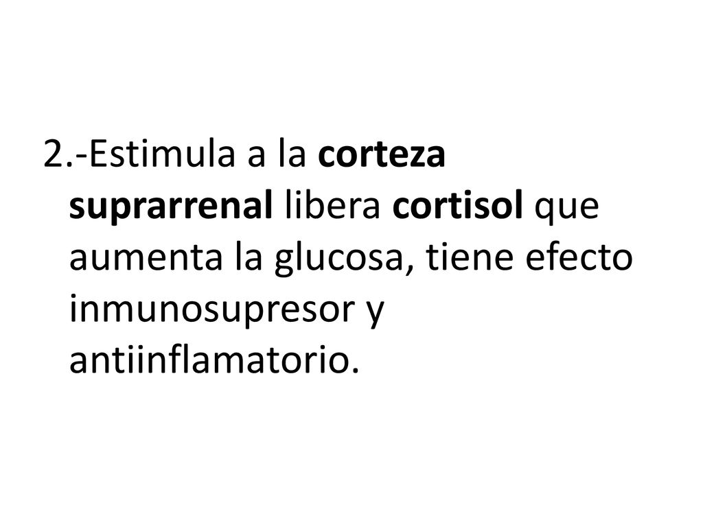 2.-Estimula a la corteza suprarrenal libera cortisol que aumenta la glucosa, tiene efecto inmunosupresor y antiinflamatorio.