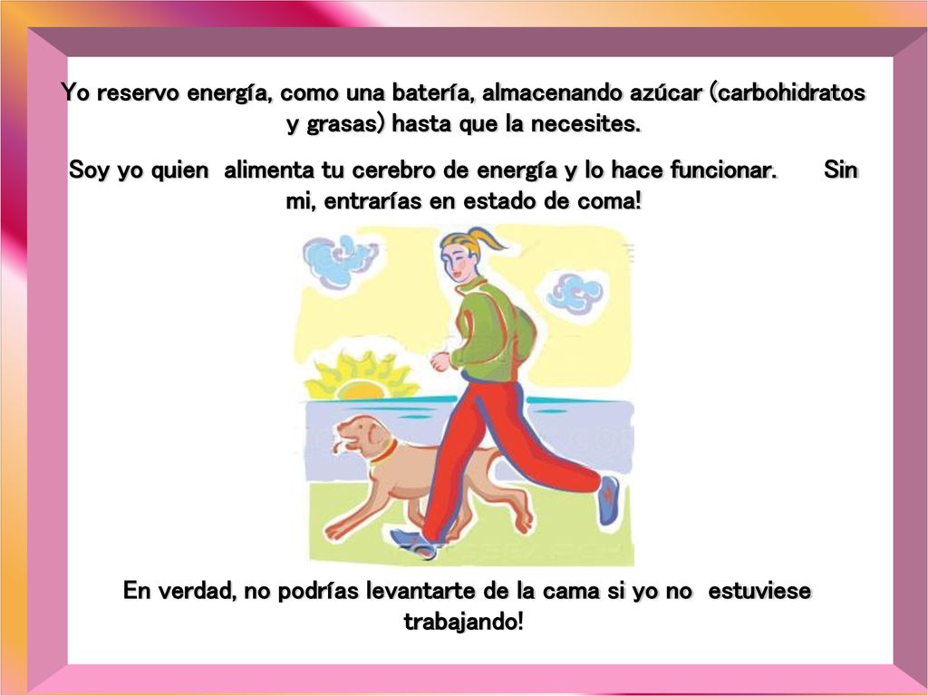 Yo reservo energía, como una batería, almacenando azúcar (carbohidratos y grasas) hasta que la necesites.