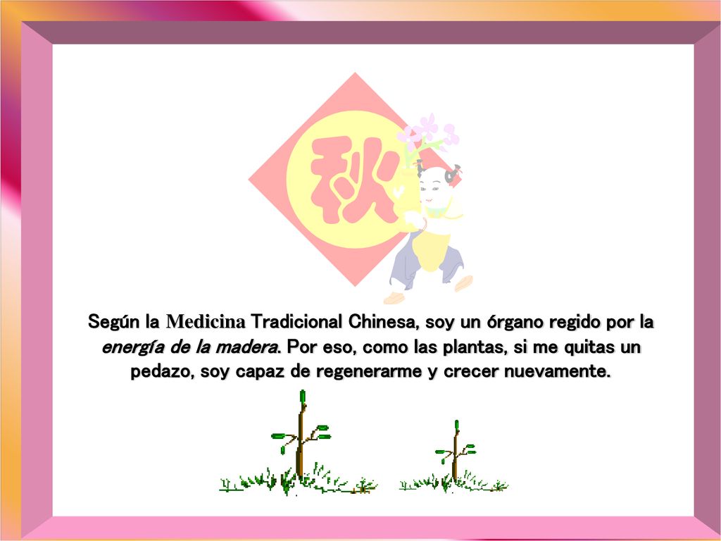 Según la Medicina Tradicional Chinesa, soy un órgano regido por la energía de la madera.