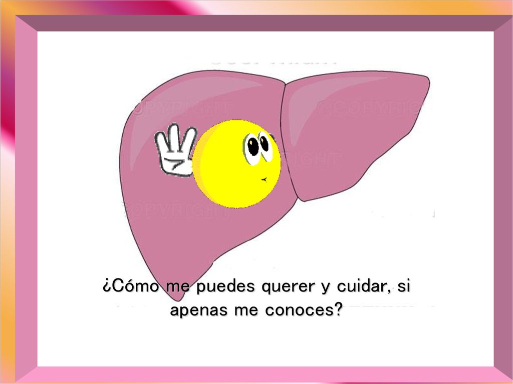 ¿Cómo me puedes querer y cuidar, si apenas me conoces