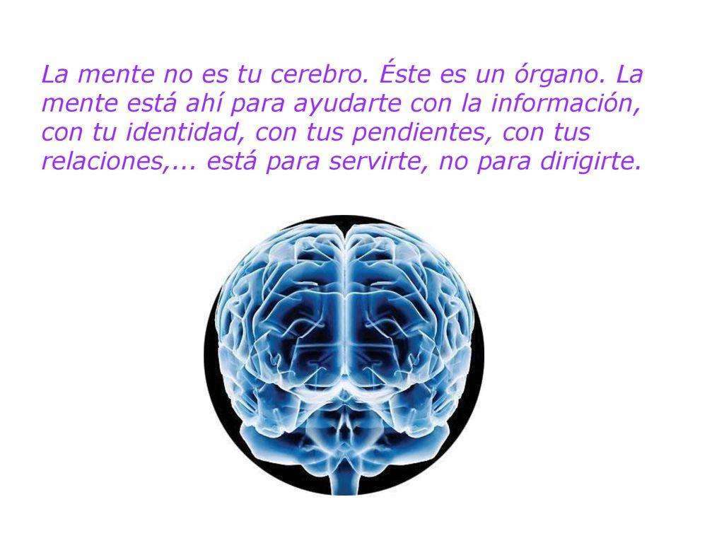 La mente no es tu cerebro. Éste es un órgano