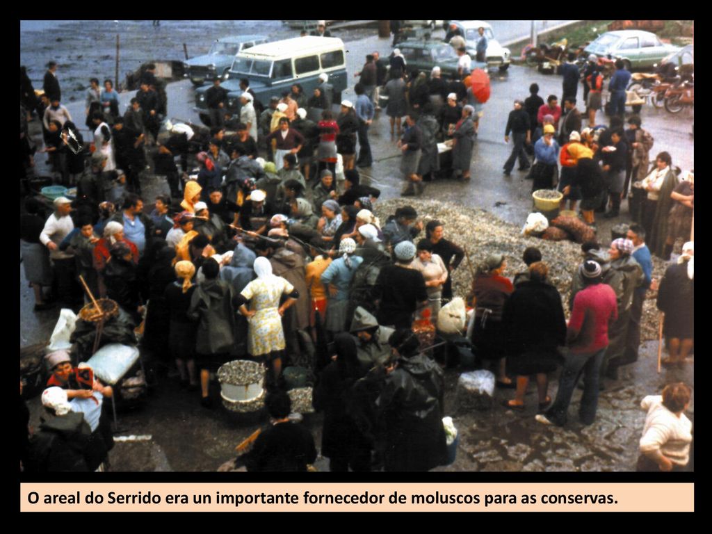 O areal do Serrido era un importante fornecedor de moluscos para as conservas.