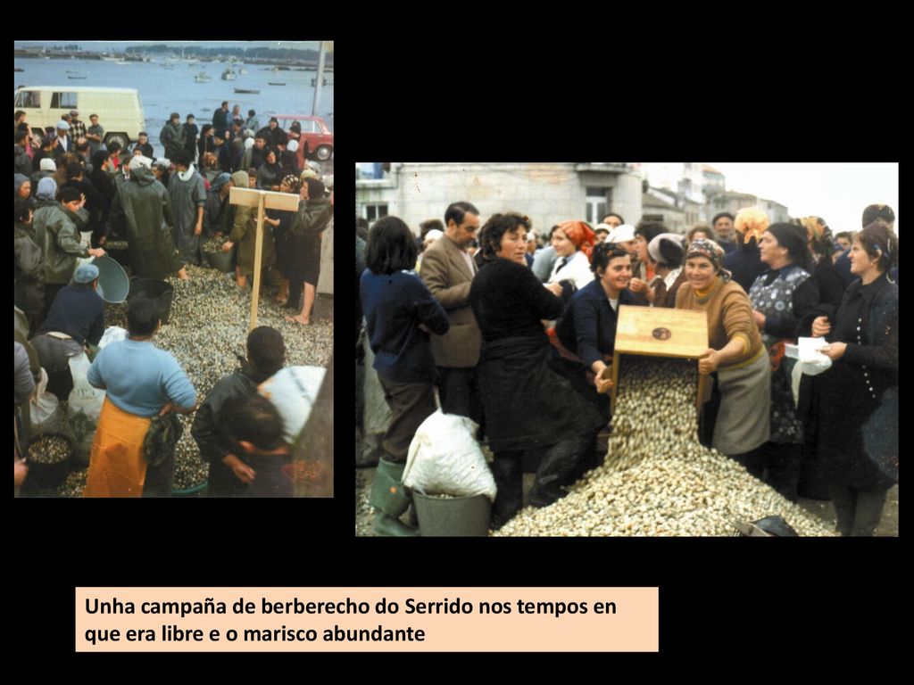 Unha campaña de berberecho do Serrido nos tempos en que era libre e o marisco abundante